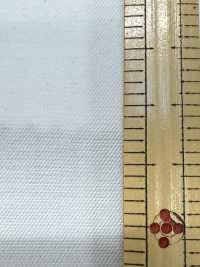 2110 Sergé à Mailles Circulaires Interlock à Haute Densité[Fabrication De Textile] Textiles Kuwamura Sous-photo