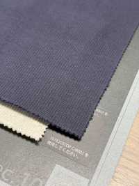 1076519TE Tissu Côtelé épais TERECO[Fabrication De Textile] TAKISADA NAGOYA Sous-photo