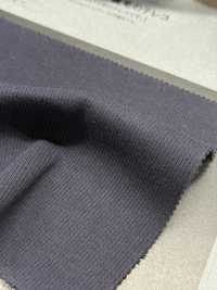 1076519TE Tissu Côtelé épais TERECO[Fabrication De Textile] TAKISADA NAGOYA Sous-photo