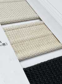 NO5502-24 Bande De Ceinture à Lisière Rayée Tissée[Ruban Ruban Cordon] RIVER Sous-photo