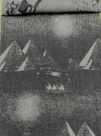 A-1728 Jacquard Denim[Fabrication De Textile] ARINOBE Sous-photo