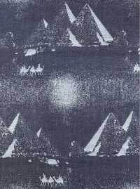 A-1728 Jacquard Denim[Fabrication De Textile] ARINOBE Sous-photo