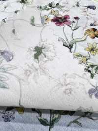 DP-5000-1 60 Impressions Numériques Botaniques Pour Pelouse[Fabrication De Textile] HOKKOH Sous-photo