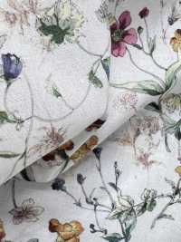 DP-5000-1 60 Impressions Numériques Botaniques Pour Pelouse[Fabrication De Textile] HOKKOH Sous-photo