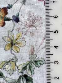 DP-5000-1 60 Impressions Numériques Botaniques Pour Pelouse[Fabrication De Textile] HOKKOH Sous-photo