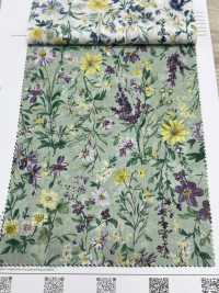 3026-670-1 60 Fleurs Botaniques Pour Pelouse[Fabrication De Textile] HOKKOH Sous-photo