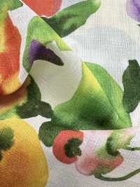 8026-590-2 80 Fruits En Voile Mousseline[Fabrication De Textile] HOKKOH Sous-photo