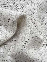 7026-430-1 Dentelle JQ Géométrique[Fabrication De Textile] HOKKOH Sous-photo