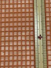 KKF8403 Organza De Vérification Graphique[Fabrication De Textile] Uni Textile(Atelier Komon) Sous-photo