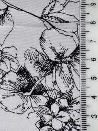 KKP3601-D108 Nouvelle Vénus Deshin[Fabrication De Textile] Uni Textile(Atelier Komon) Sous-photo