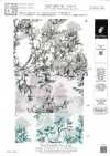 KKP5603-58-DHM-76 Batiste filée grande largeur
