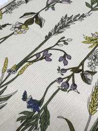 3026-1770-1 Velours Côtelé 21W[Fabrication De Textile] HOKKOH Sous-photo