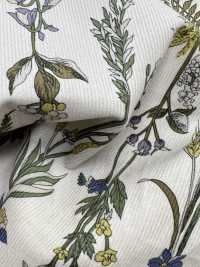 3026-1770-1 Velours Côtelé 21W[Fabrication De Textile] HOKKOH Sous-photo