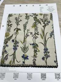 3026-1770-1 Velours Côtelé 21W[Fabrication De Textile] HOKKOH Sous-photo