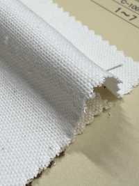 INDIA-2154 CANARD DE L'INDE[Fabrication De Textile] ARINOBE Sous-photo