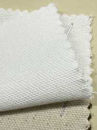 INDIA-2154 CANARD DE L'INDE[Fabrication De Textile] ARINOBE Sous-photo