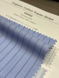 5SG032 Rayures En Popeline De Coton Biologique[Fabrication De Textile] Chambray Sous-photo