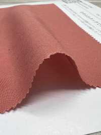 KKC484-W T/Ry Popeline[Fabrication De Textile] Uni Textile(Atelier Komon) Sous-photo