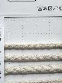 CL1 [Ruban Ruban Cordon] Cordon Sous-photo