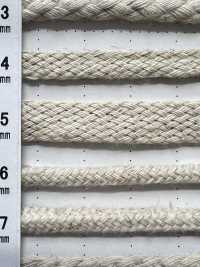 CL5 [Ruban Ruban Cordon] Cordon Sous-photo