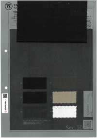 1026520 CHORUS Ramie X SOLOTEX® Sergé Extensible Léger[Fabrication De Textile] TAKISADA NAGOYA Sous-photo