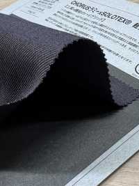 1026520 CHORUS Ramie X SOLOTEX® Sergé Extensible Léger[Fabrication De Textile] TAKISADA NAGOYA Sous-photo