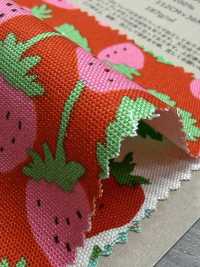 850593 Fête Des Fraises D'Oxford Champ De Fraises[Fabrication De Textile] VANCET Sous-photo
