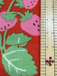 850593 Fête Des Fraises D'Oxford Champ De Fraises[Fabrication De Textile] VANCET Sous-photo