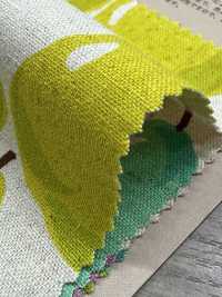 850595 Lin Toile De Lin Poire[Fabrication De Textile] VANCET Sous-photo