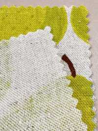 850595 Lin Toile De Lin Poire[Fabrication De Textile] VANCET Sous-photo