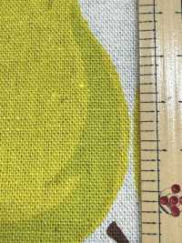 850595 Lin Toile De Lin Poire[Fabrication De Textile] VANCET Sous-photo