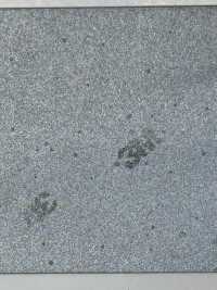 M-8912-PKK M-8912 Scotchlite Passepoil Cranté[Ruban Ruban Cordon] MARQUE STAR (Hoshika) Sous-photo