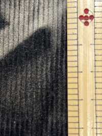 DCL115-SF 14W T/C Corduroy Decorore[Fabrication De Textile] Kumoi Beauty Sous-photo