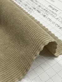 SBC4040 Chemise 21W En Velours Côtelé, Finition Lavage à Sec[Fabrication De Textile] SHIBAYA Sous-photo