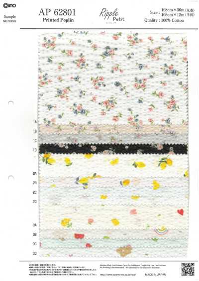 AP62801 Ripple Petit Popeline (rouleau)