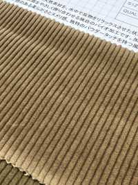 ND7025 Velours Côtelé Biologique Shankar 9W Bio-transformé[Fabrication De Textile] Kumoi Beauty Sous-photo