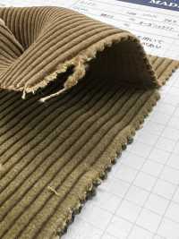 ND7025 Velours Côtelé Biologique Shankar 9W Bio-transformé[Fabrication De Textile] Kumoi Beauty Sous-photo