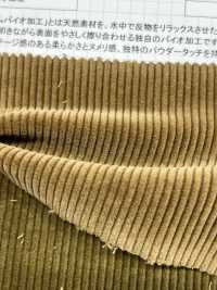 ND7025 Velours Côtelé Biologique Shankar 9W Bio-transformé[Fabrication De Textile] Kumoi Beauty Sous-photo