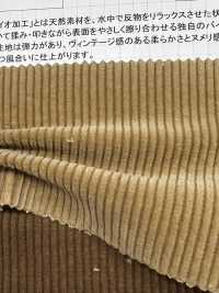 ND7005 Velours Côtelé 9W Avec Traitement Biologique Nidom[Fabrication De Textile] Kumoi Beauty Sous-photo