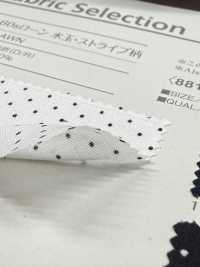 B88191Z Pelouse 60 Fils, Motif à Pois Et Rayures, Demi-pliée[Fabrication De Textile] VANCET Sous-photo