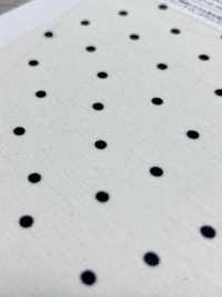 KKP8036-W-SB-321 Maillot BR×SD100d Grande Largeur[Fabrication De Textile] Uni Textile(Atelier Komon) Sous-photo