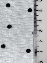 KKP8036-W-SB-321 Maillot BR×SD100d Grande Largeur[Fabrication De Textile] Uni Textile(Atelier Komon) Sous-photo