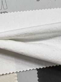 BF4040 Popeline Préteinte 40 Avec Finition Lavée[Fabrication De Textile] KOYAMA Sous-photo