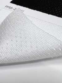 PPM-2 [Garniture] Sous-photo