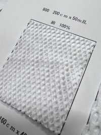 800 [Garniture] Sous-photo