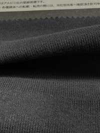 1078650 ALBINI RETWIST 30/1 Côtes Circulaires[Fabrication De Textile] TAKISADA NAGOYA Sous-photo