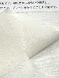 2030WAS Organza Hidakami®[Fabrication De Textile] Suncorona Oda Sous-photo