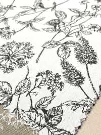850544 Popeline De Coton écru, Motif Floral Sauvage à Rythme Botanique[Fabrication De Textile] VANCET Sous-photo