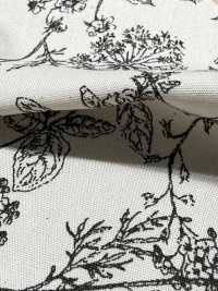 850544 Popeline De Coton écru, Motif Floral Sauvage à Rythme Botanique[Fabrication De Textile] VANCET Sous-photo