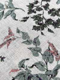7027-720-2 100% Lin Tissé à La Main Angel Soft Leaf Fruit[Fabrication De Textile] HOKKOH Sous-photo